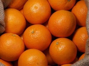 CBD oranges